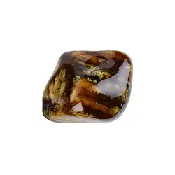 0557408007 One side polished piece of Amber "Zebra Amber" (Indonesia) 05 - 07cm | Marco Schreier