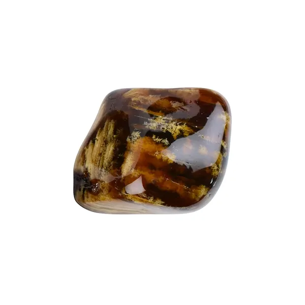 One side polished piece of Amber "Zebra Amber" (Indonesia) 05 - 07cm | Marco Schreier
