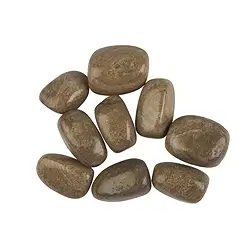 0559727100 Trommelsteine Aragonit (Eichenberg), 2,3 -2,8cm (100g/VE) | Marco Schreier