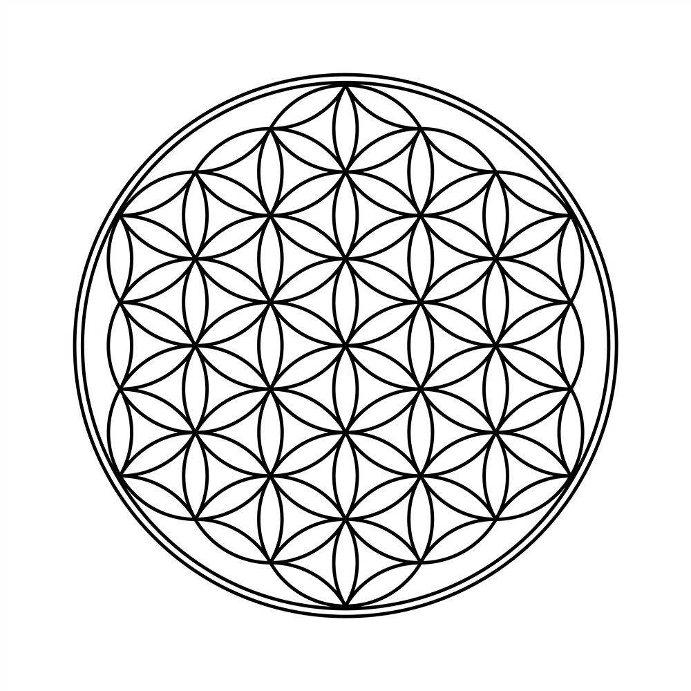 Disco de Orthoceras "Flor de la vida", 10cm | Marco Schreier