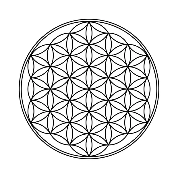 Disque Orthoceras "Fleur de vie", 10cm | Marco Schreier