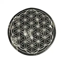 0560104010 Disc Orthoceras "Flower of Life", 10cm | Schreier gems, healing stones & jewelry
