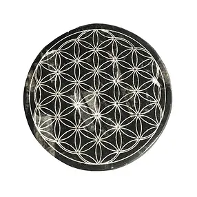 Scheibe Orthoceras "Blume des Lebens", 10cm | Edelsteine, Heilsteine & Schmuck