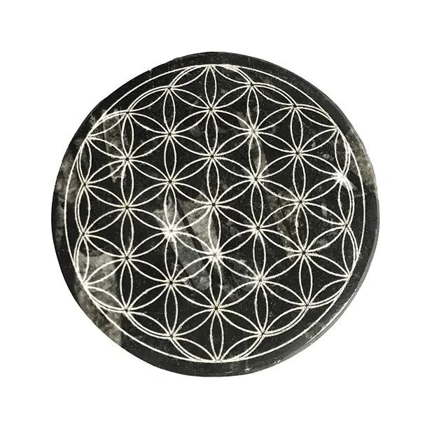 Scheibe Orthoceras "Blume des Lebens", 10cm | Edelsteine, Heilsteine & Schmuck