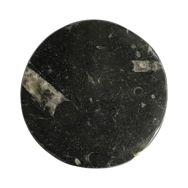 Disc Orthocera "Triskel", 10cm | minerals trade - gems, healing stones & jewelry