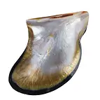 https://cdn.marcoschreier.com/content/productimages/0561804402_d1.jpg