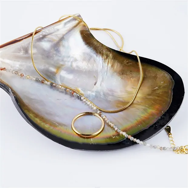 Mussel shell (Pteria penguin), 11 x 8 cm | wholesaler gems & healing stones
