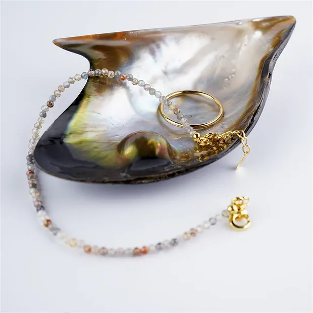 Mussel shell (Pteria penguin) with pearl, 8 x 6cm | Marco Schreier