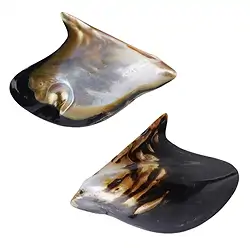 0561804403 Muschelschale (Pteria penguin) mit Perle, 8 x 6cm | Marco Schreier