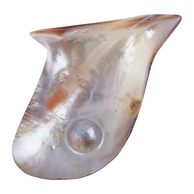 Mussel shell (Pteria penguin) pink with pearl, 8 x 6cm | Marco Schreier
