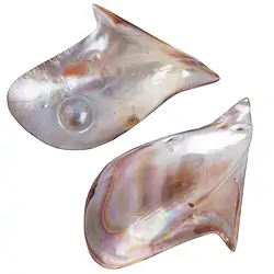 0561804404 Muschelschale (Pteria penguin) rosa mit Perle, 8 x 6cm | Marco Schreier