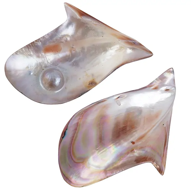 Mussel shell (Pteria penguin) pink with pearl, 8 x 6cm | Marco Schreier
