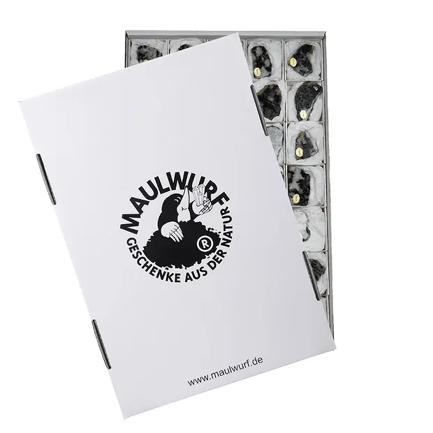 Piastre giallo topazio (Pyknit), 3,5 - 5,0 cm (35 pz./confezione) | Marco Schreier