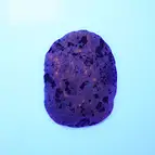 https://cdn.marcoschreier.com/content/productimages/0564308001_zoom.jpg