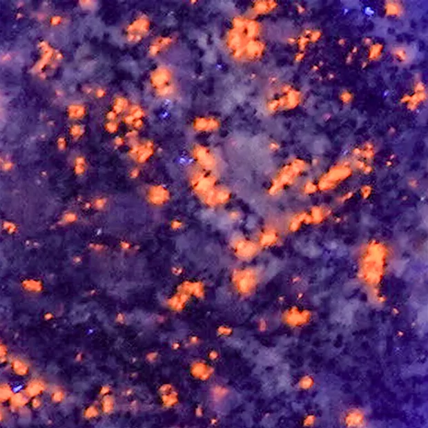 Pierres roulées Yooperlith, 2,2 - 3,2cm (100g/UC) | Marco Schreier