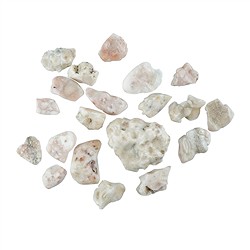 0566927100 Trommelsteine Natrolith, 2,0 - 4,5cm (100g/VE) | Marco Schreier