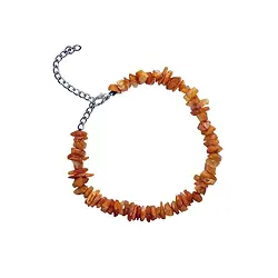 0603617014 Collar de Ámbar para perros, cierre de metal 22 - 40cm (corto) | Marco Schreier