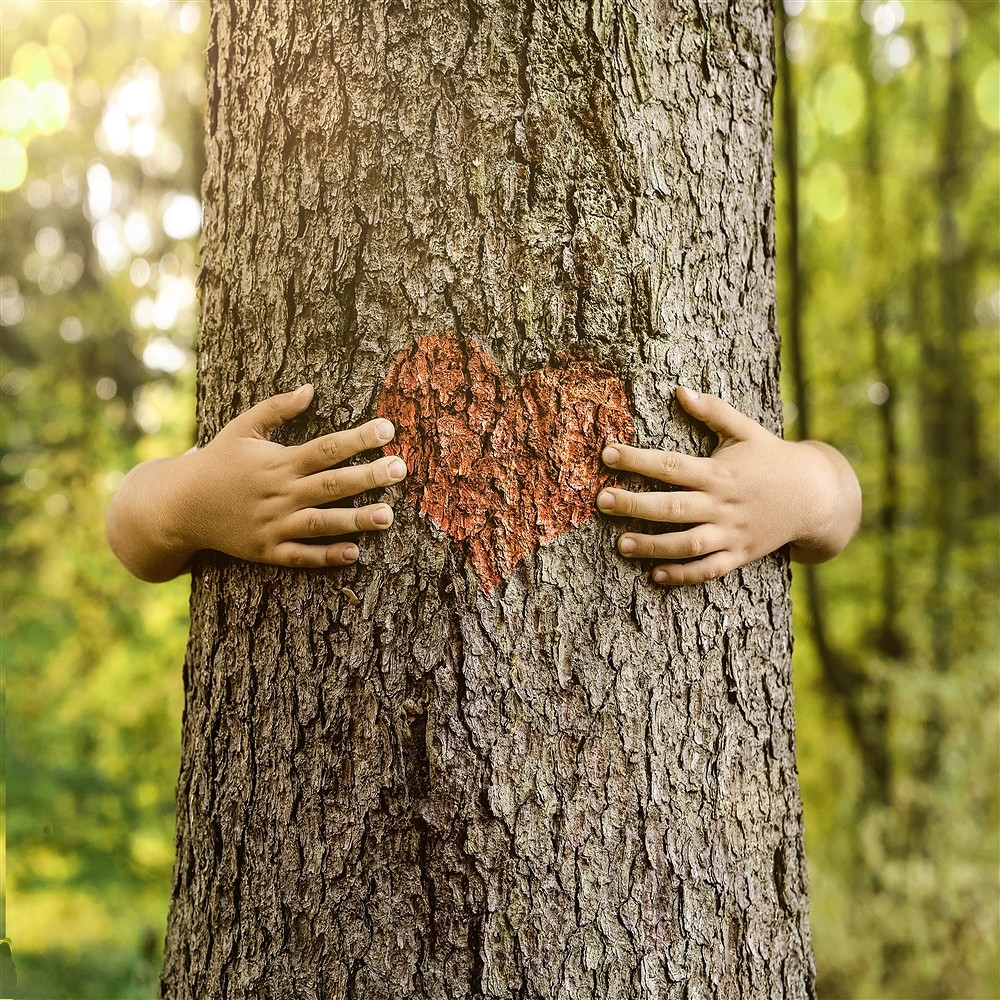 Pulsera, Cuarzo rosa, cuentas de 06mm, 15cm (para niños) | Marco Schreier