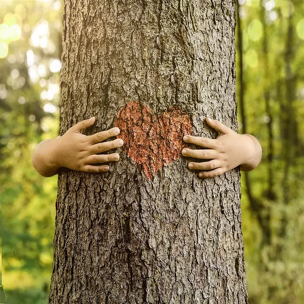 Armband, Rosenquarz, 06mm Kugeln, 15cm (für Kinder) | Marco Schreier