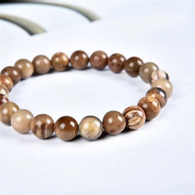Bracelet, Petrified Wood, 08mm beads | wholesaler gems, healing stones & jewelry