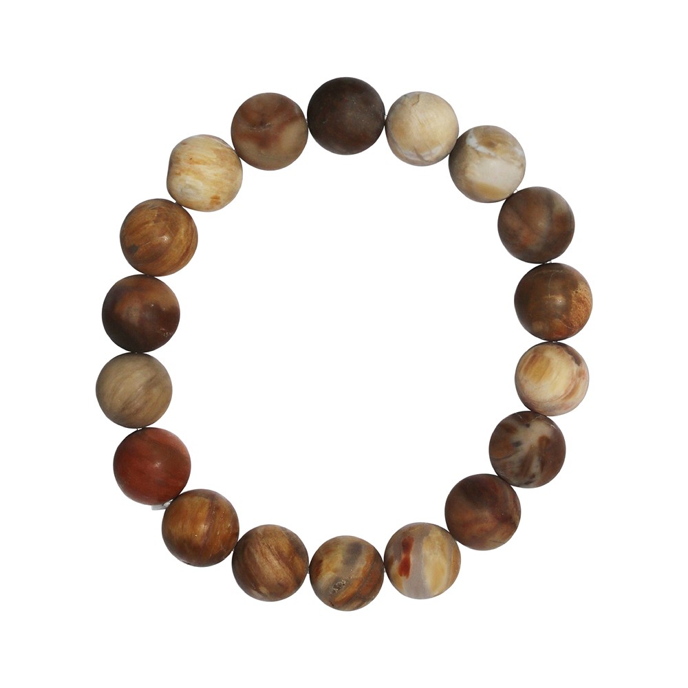 Bracelet, Petrified Wood, 10mm beads, frosted | wholesaler gems & healing stones