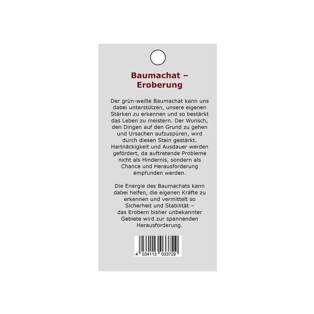 Kraftstein-Anhänger Baumachat (Eroberung) | GH Edelsteine, Heilsteine & Schmuck