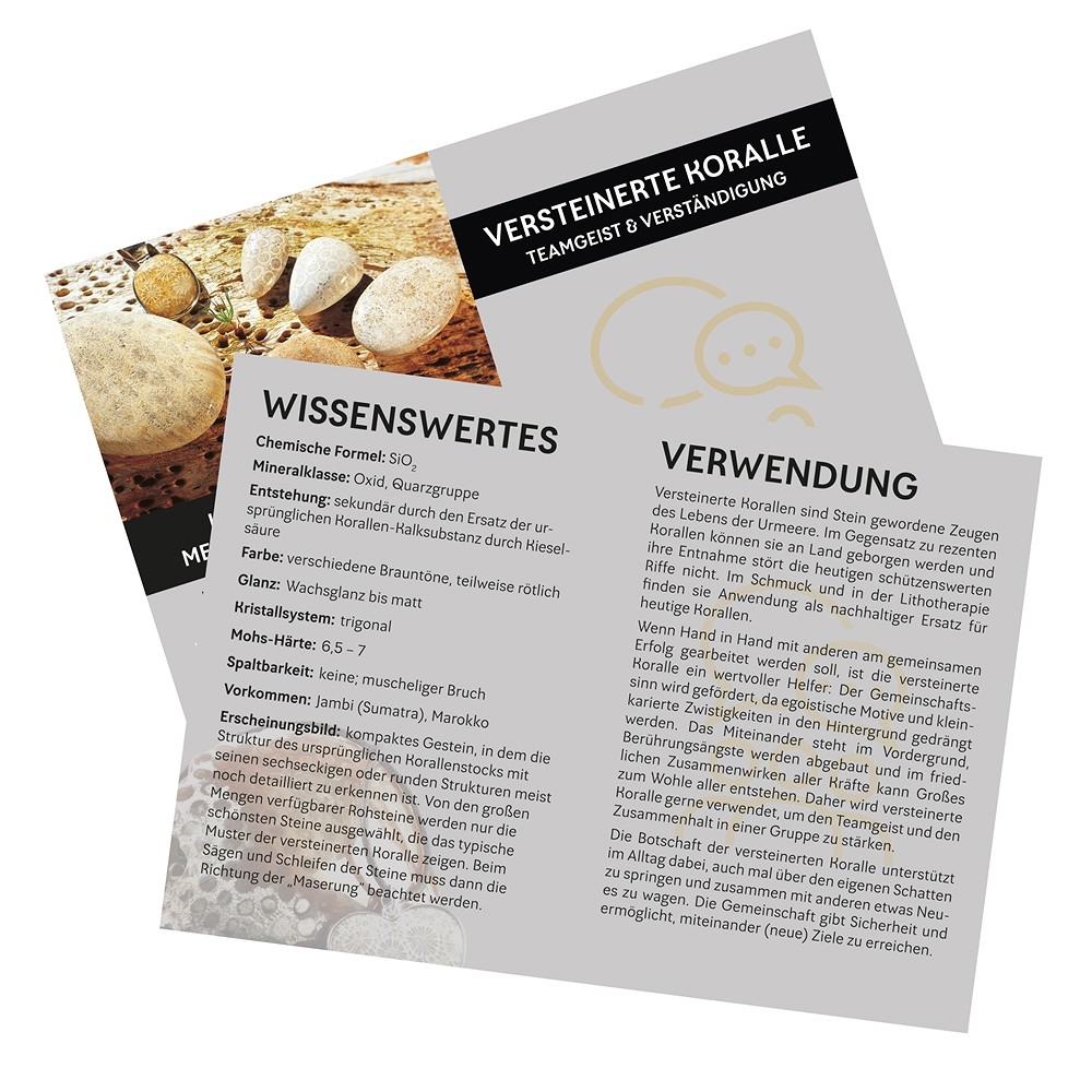 Pendentif Corail fossilisé "Esprit d'équipe et compréhension" | Marco Schreier