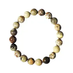 0624550025 Armband, versteinerte Koralle, 10mm Kugeln | GH Edelsteine, Heilsteine & Schmuck