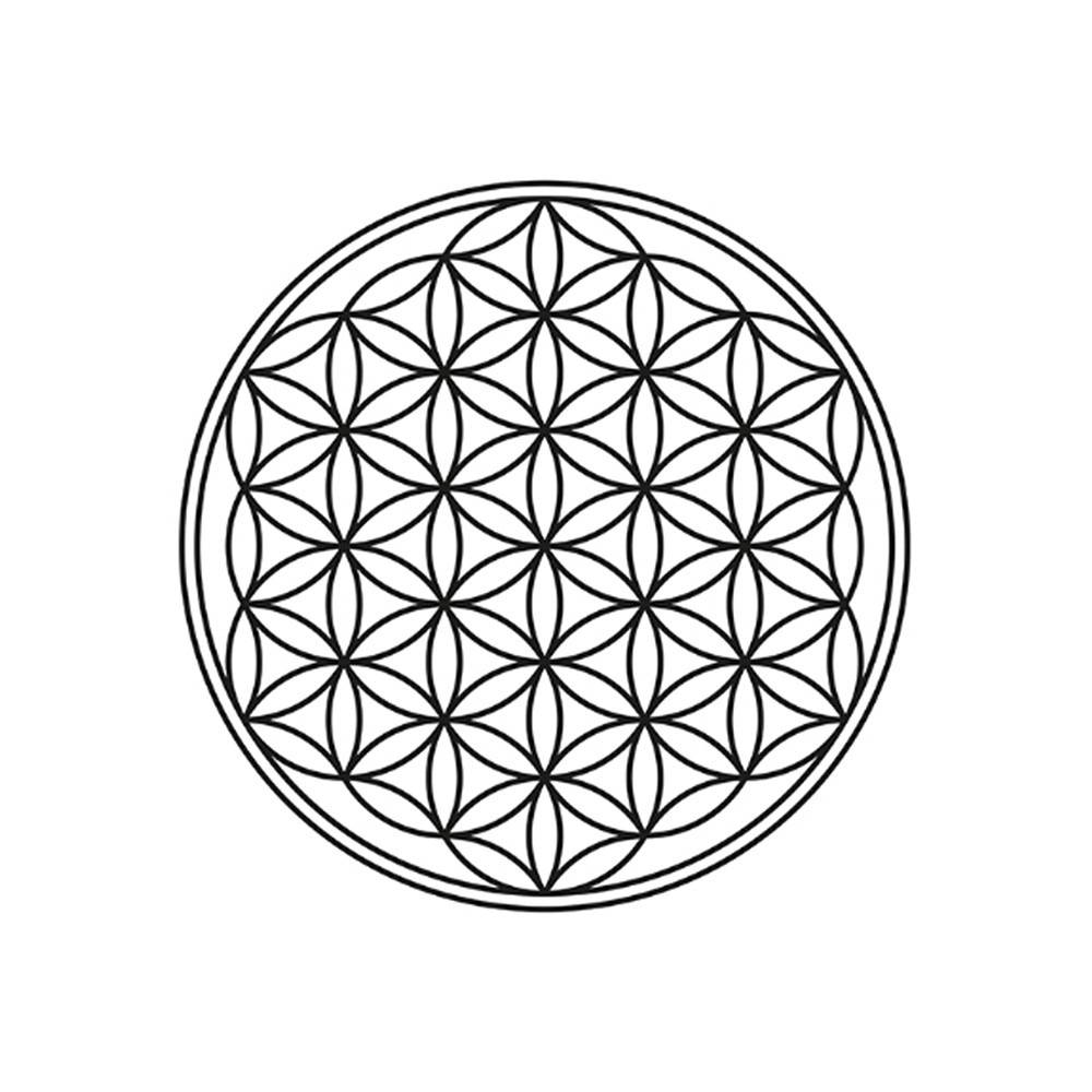 Colgante Flor de la vida Shungita, plata | Marco Schreier