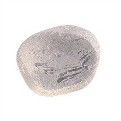 0803509002 Pietre burattate di Cristallo di rocca, 3,0 - 4,0 cm (ciottoli da finestra) | Marco Schreier