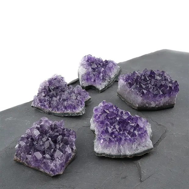 Touffes d'améthystes (Uruguay) AB, 05 cm (12 pcs/UC) | Marco Schreier