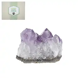 0901202000 Mini Flat Clusters Amethyst, 3.0 - 5.0cm (12 - 15 pcs./ PU) | Marco Schreier