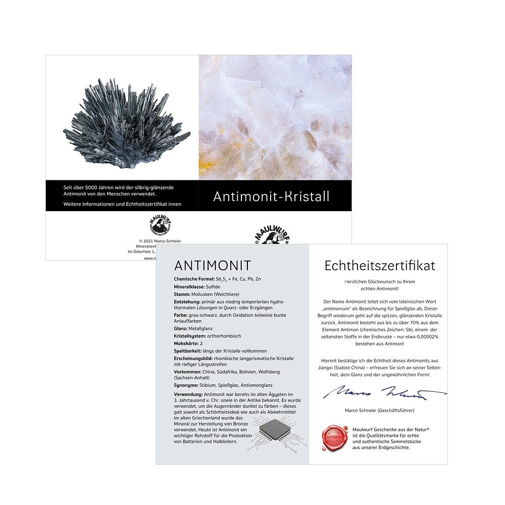 Antimonite en cristal, 08 - 10cm (grand), avec encart en pochette | Marco Schreier