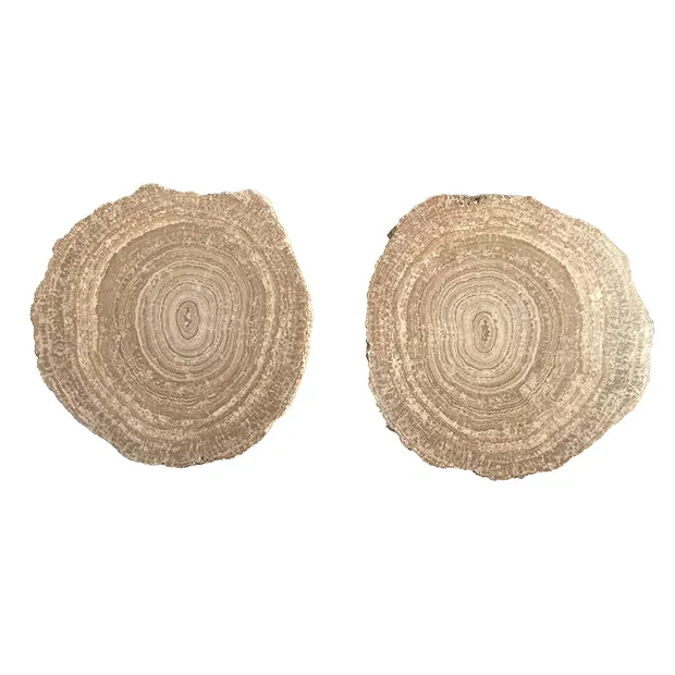 One side polished pieces of aragonite (Eichenberg beads), 03.5 - 05.0cm (12 pcs./ PU) | Marco Schreier