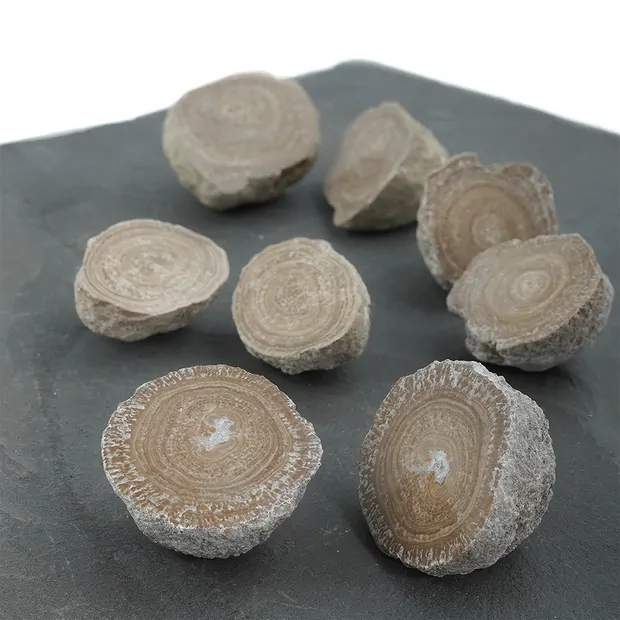 Tagonite (Eichenberg), 3 - 5cm (12 pz./UC) | grossista gemme e pietre curative