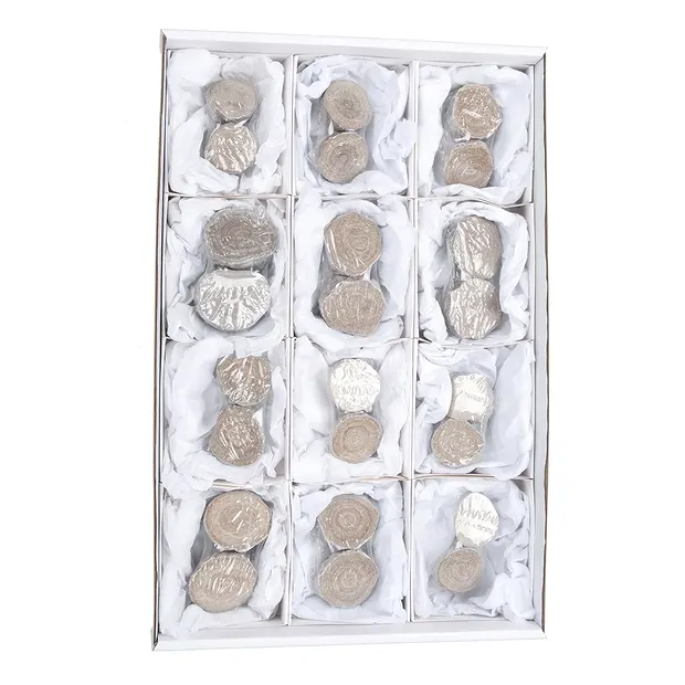 One side polished pieces of aragonite (Eichenberg beads), 03.5 - 05.0cm (12 pcs./ PU) | Marco Schreier