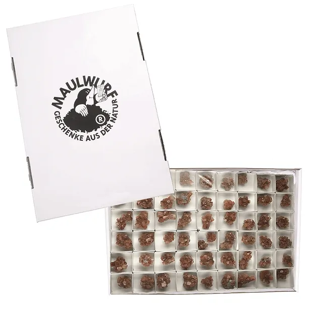 Touffe Aragonite, 2,0 - 3,0cm (54 pcs/UC) | Marco Schreier