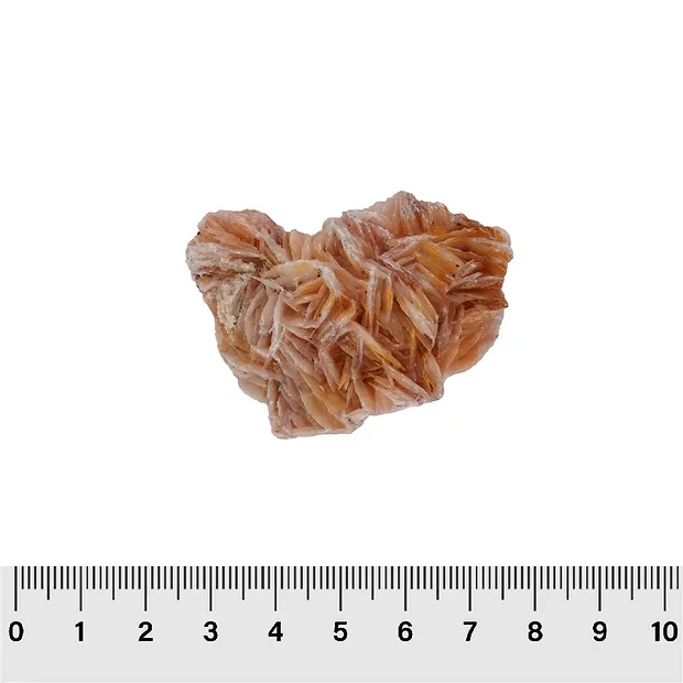 Gradini di Barite, 4,0 - 5,0 cm (35 pz./ UC) | grossista gemme e pietre curative