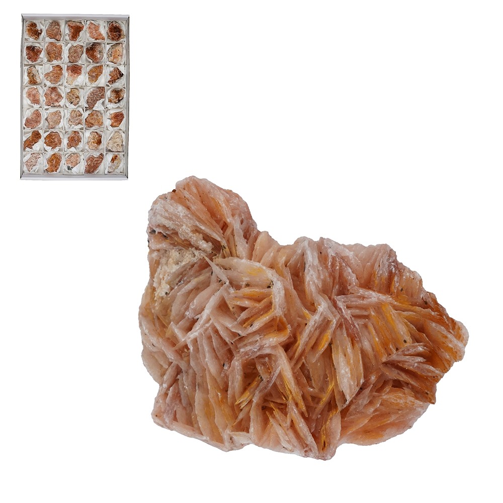 Clusters Barite, 4.0 - 5.0cm (35 pcs./ PU) | wholesaler gems & healing stones