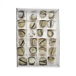 0903502024 Quarzgeoden, 04 - 05cm (24 St./VE) | Großhandel Edelsteine, Heilsteine & Schmuck