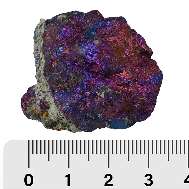 Pierres brutes Chalcopyrite, 03 - 04cm (env. 6kg/UC) | Marco Schreier