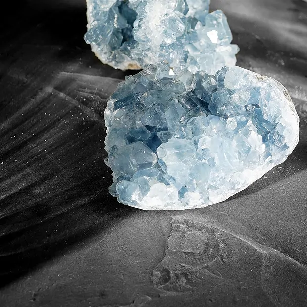 Clusters Coelestine A, 08cm (16 pcs./ PU) | wholesaler gems & healing stones