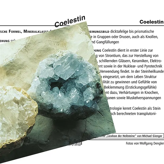 Stufen Coelestin A, 08cm (16 St./VE) | Schreier Edelsteine, Heilsteine & Schmuck