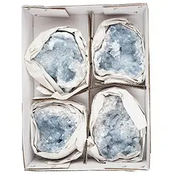 0905401026 Touffe Célestine A, 12 - 17cm (4 pcs/UC) | Marco Schreier