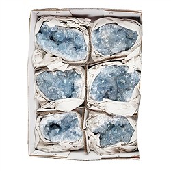 0905401027 Passi Celestina A, 10 - 15 cm (6 pz.) | grossista gemme e pietre curative