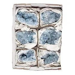 0905401027 Clusters Coelestine A, 10 - 15cm (6 pcs./ PU) | wholesaler gems & healing stones