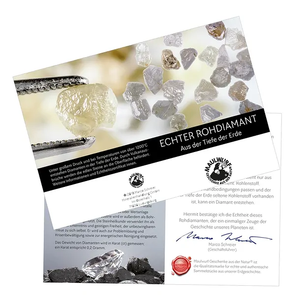 Diamant brut 0,5ct avec carte de certificat en pochette | Marco Schreier