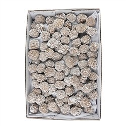 09075101 Desert Roses, frosted (9kg / PU) | wholesaler gems, healing stones & jewelry
