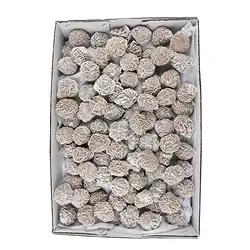 09075101 Desert Roses, frosted (9kg / PU) | wholesaler gems, healing stones & jewelry