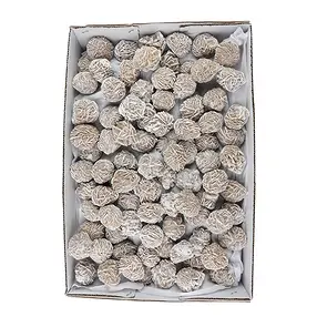 Rosa di sabbia, glassata (9 kg / UC) | grossista gemme e pietre curative